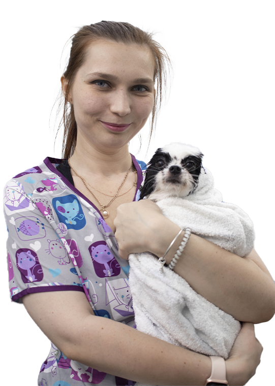 Dynamic Content Image